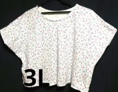 Item thumbnail for item 63b7f569-3f9a-471d-810e-9f11fd957aa8