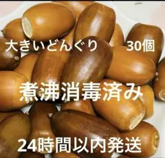 大きいどんぐり 2.5㎝位 30個