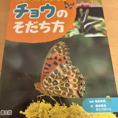 Item thumbnail for item 61d6a51c-2426-41a4-8e8f-b2a6ee56cbb5