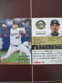 カルビー プロ野球チップス オリックス A.マチャド