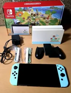 Nintendo Switch本体 あつまれどうぶつの森モデル 初期化済み