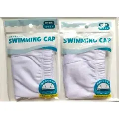 Item thumbnail for item 7fdbdf59-9a84-478e-80b1-d1787b1b9964