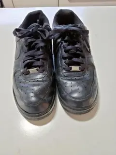 Item thumbnail for item f3a672d3-3ff4-448a-a3d7-2f3b2359c718