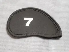 Item thumbnail for item 7f5ef74f-4f23-4034-84fc-e82f6173301e