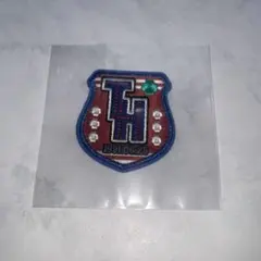 東京リベンジャーズ イマーシブフォート ワッペン 花垣武道