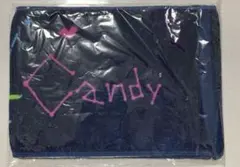 TWICE ツアータオル福岡限定