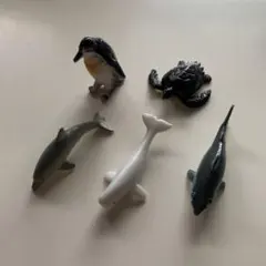 Item thumbnail for item 6faaf3d3-1467-4beb-8277-0ad7e437022e