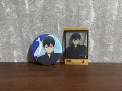 ＊ハイキュー＊アクアリウムキャラバン＊缶バッジ＊クリアカード＊影山飛雄＊烏野＊