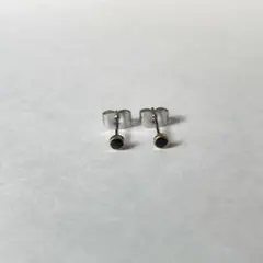 極小丸いブラック樹脂ピアス・ピアス・イヤリング