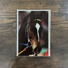 Item thumbnail for item c16b1c85-27e6-45d0-928e-c2a6c3bcc44a