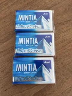 ミンティア WILD&COOL 3個セットのサムネイル