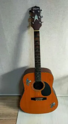 Takamine アコースティックギター