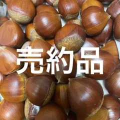 いちごみるく様専用