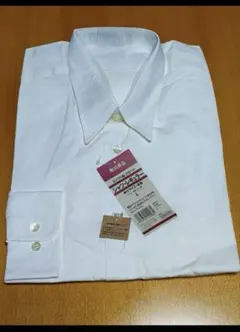 無印良品　エジプト綿・ブロード　長袖シャツレギュラー　L