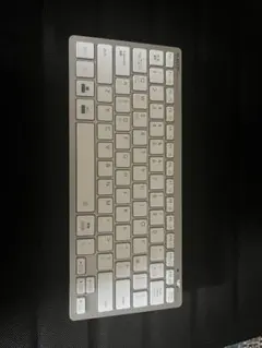 Item thumbnail for item 3e0e7c0c-6c38-4ef7-83ae-385f0dc86b52