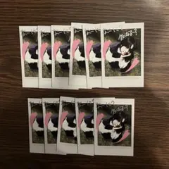 Back to Life トレカ チェキ TAKI 11枚セット