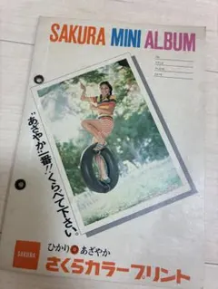 Item thumbnail for item f2c0c84b-12da-4ee1-abef-27838088bb06