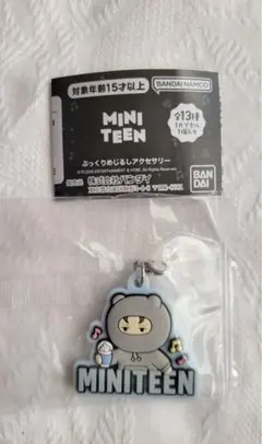 SEVENTEEN MINITEEN ぷっくり めじるし アクセサリーバーノン