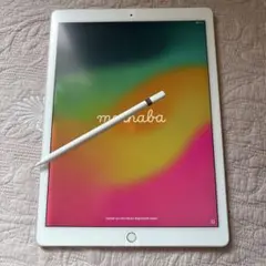 iPad Pro 第2世代 12.9インチ256GB Apple Pencil