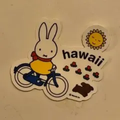 ぷー様 リクエスト 2点 まとめ商品