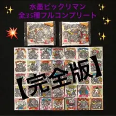 15.⭐️絶版 希少【完全版】《空袋2種付 全35種フルコンプ》水墨ビックリマン