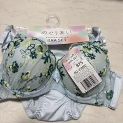 ブラジャー＆ショーツ★B75のサムネイル
