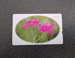 Item thumbnail for item fba75dbb-bba9-4b21-96e3-5ee55056de48