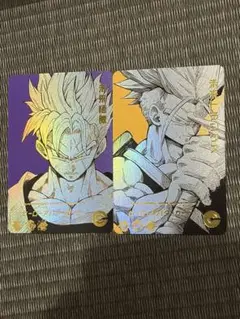 ドラゴンボールヒーローズ ヒーローアバターカード 海外 未来悟飯 トランクスのサムネイル
