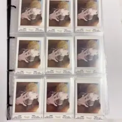 六弥ナギ ぱしゃこれ 18枚セット