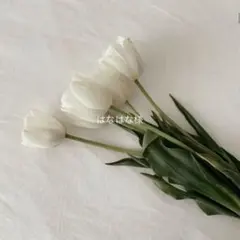 Item thumbnail for item 529d6588-bc62-49cc-91f2-32149fff6012