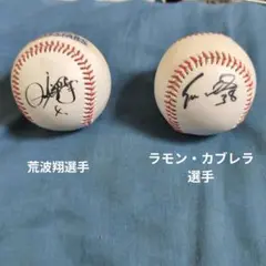 2026年最新】サインボールの人気アイテム - メルカリ