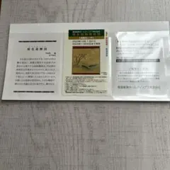 阪急阪神　株主回数乗車証　使用済