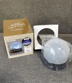✨ディズニーシー✨ シーオブドリーム プラネタリウム
