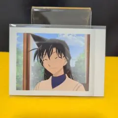 2025年最新】毛利蘭 ぱしゃこれの人気アイテム - メルカリ