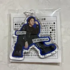 NCT127 ジョンウ　ラントイ　アクリルキーホルダー