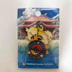 2026年最新】ポケモンセンターオキナワ ロゴピンズの人気アイテム