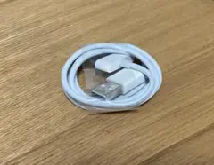 【Apple純正 未使用】 30ピン Dockケーブル USB-A