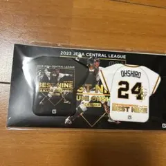 Item thumbnail for item 1437af60-8fa7-4e1c-9479-f4ca6b23cd01