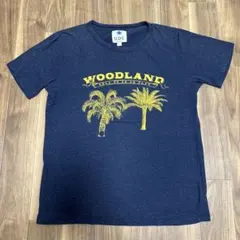 GDC Tシャツ WOODLAND ネイビー Lサイズのサムネイル