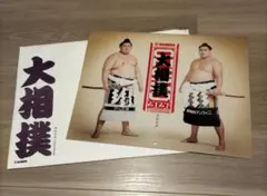 Item thumbnail for item fdcfb7eb-ba1e-4eea-98be-896f6d8a2bff