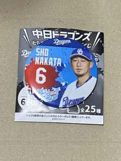中日ドラゴンズ どらポジ応援！缶バッジくじ 缶バッジ 中田翔 選手