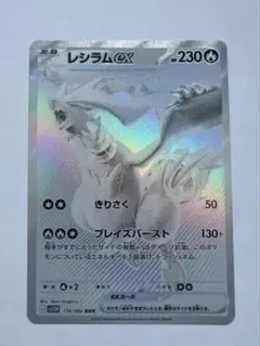 メル君 ※エラーカードレシラム メル君様専用 ※エラーカードレシラム - メルカリ