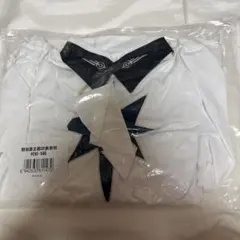 崩壊スターレイル アナイクス アパレル シャツ S