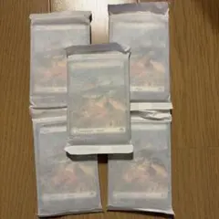 MTG 旧枠 基本土地 まとめ売り 6版 日本語 100枚 全20種 各5枚 - メルカリ