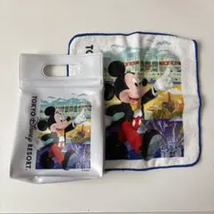 東京ディズニーリゾート ミッキー ポーチタオルセット