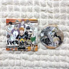 ハイキュー 原画展 コレクション缶バッジ 新3年生 烏野