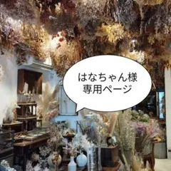 はなちゃん様専用ページ