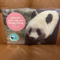 Item thumbnail for item 98132997-e7e8-4d9c-950a-d2284e51e2f0