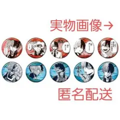 ①1.ヒロアカ 轟焦凍コレクション缶バッジ プチ “HEROES” 10点セット