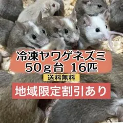 2026年最新】ヤワゲネズミの人気アイテム - メルカリ